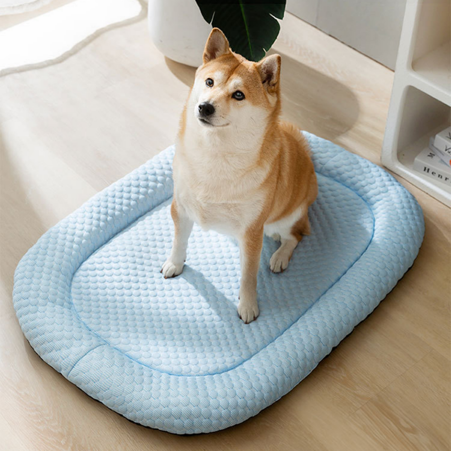 Ice-Silk Cooling Pet Bed